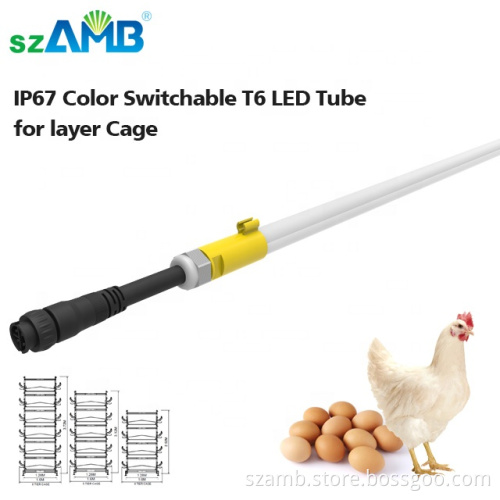 warranty 120lm/W 200W led flicker free tunnel light